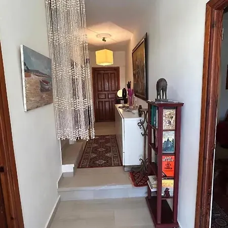 Spacious House In With Garden