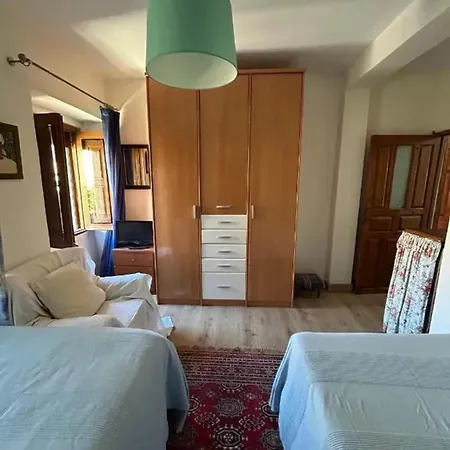 Spacious House In With Garden